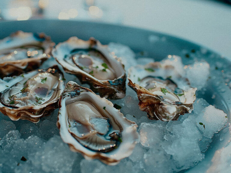 Photo of Oysters x 6